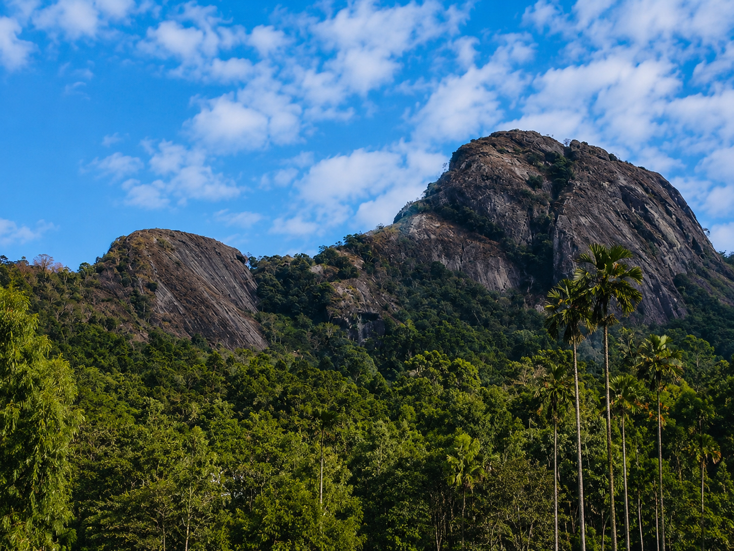 Scenic Viewpoint 1 surrounding Cave Aura Wayanad