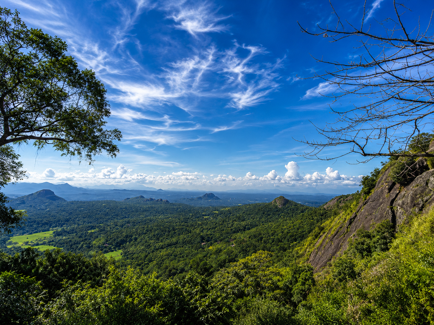 Scenic Viewpoint 5 surrounding Cave Aura Wayanad